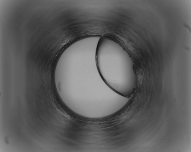 X0000097670211200803281020