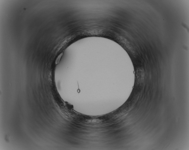 X0000097670212200803281020
