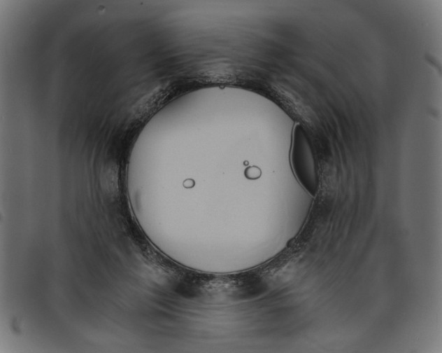 X0000097670213200803281020