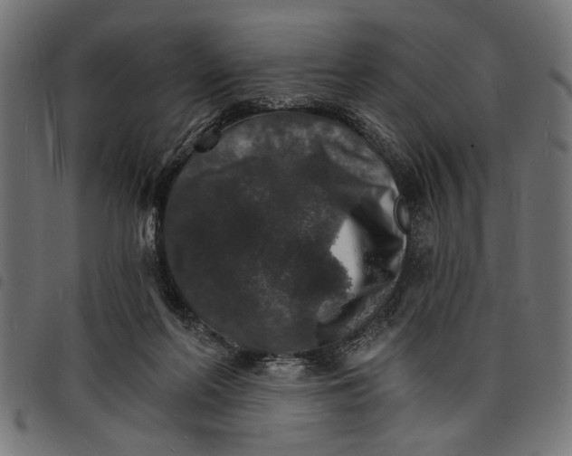 X0000097670214200803281020