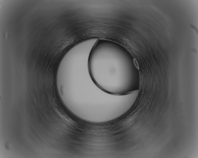 X0000097670215200803281020