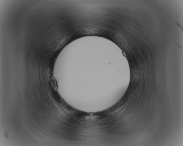 X0000097670216200803281020