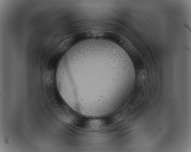 X0000097670218200803281019