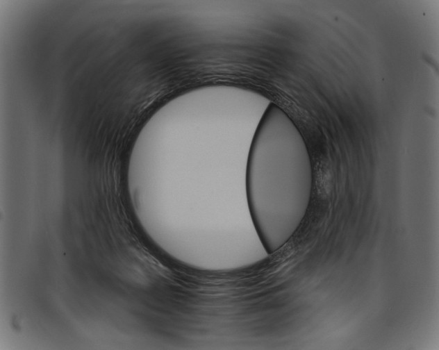 X0000097670219200803281019
