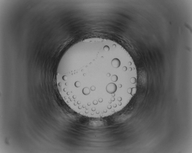 X0000097670220200803281019