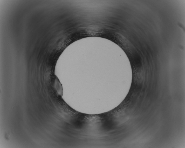 X0000097670221200803281019