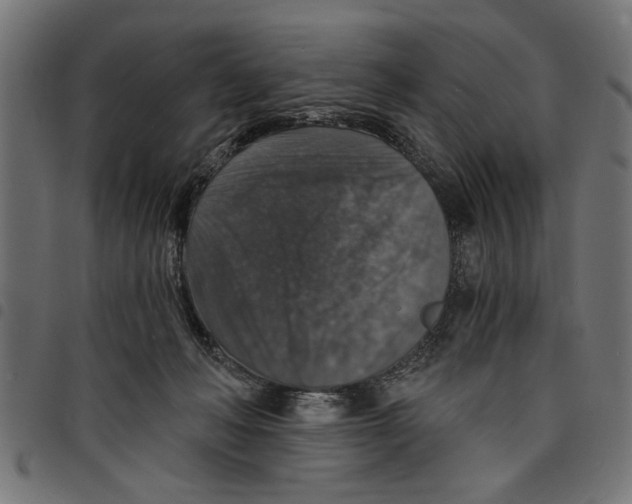 X0000097670222200803281019