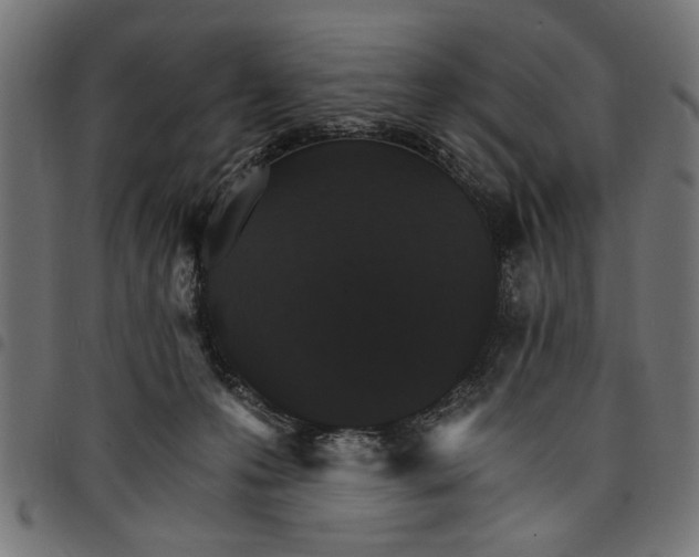 X0000097670223200803281019