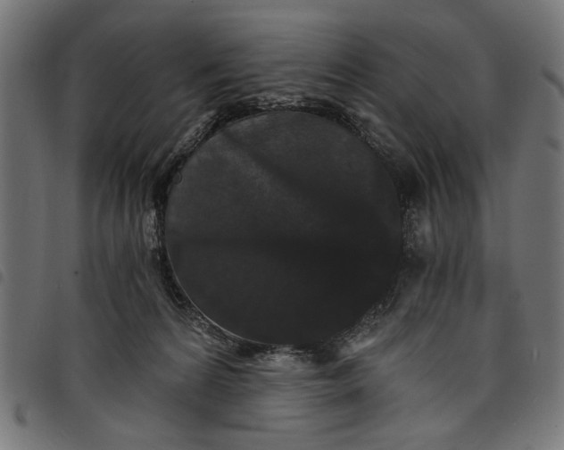 X0000097670224200803281019