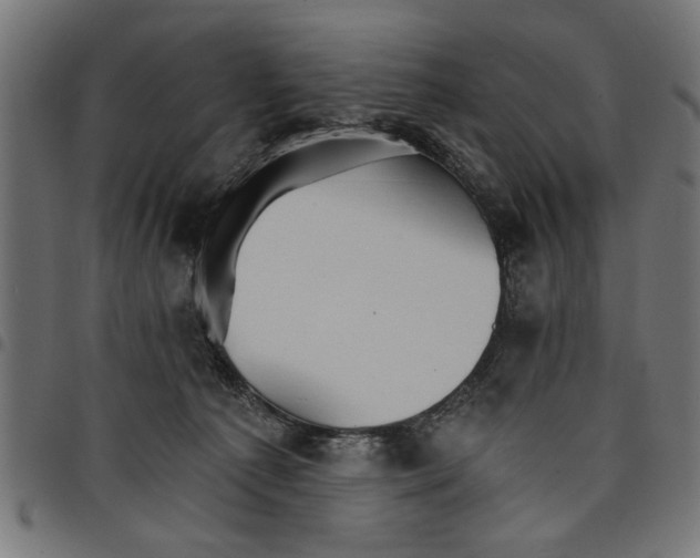 X0000097670225200803281019
