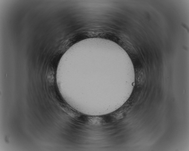 X0000097670226200803281019