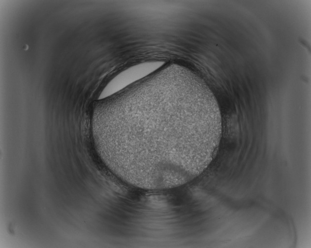 X0000097670228200803281019