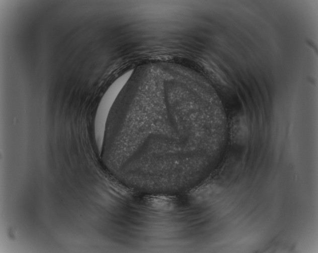 X0000097670229200803281019