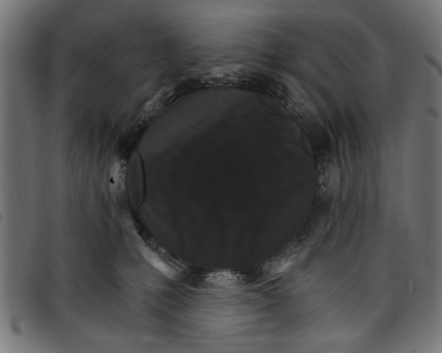 X0000097670231200803281019