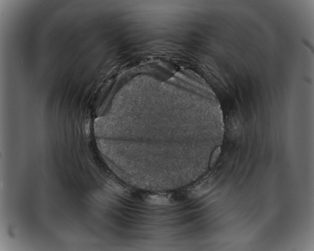 X0000097670232200803281019