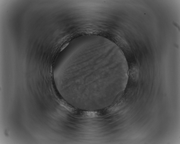 X0000097670233200803281019