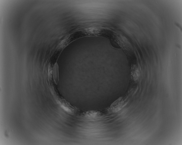 X0000097670235200803281019