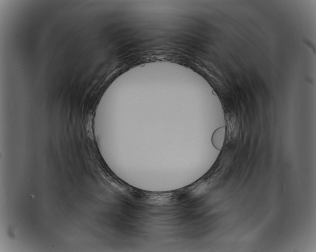 X0000097670236200803281019