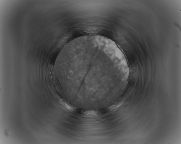 X0000097670237200803281019