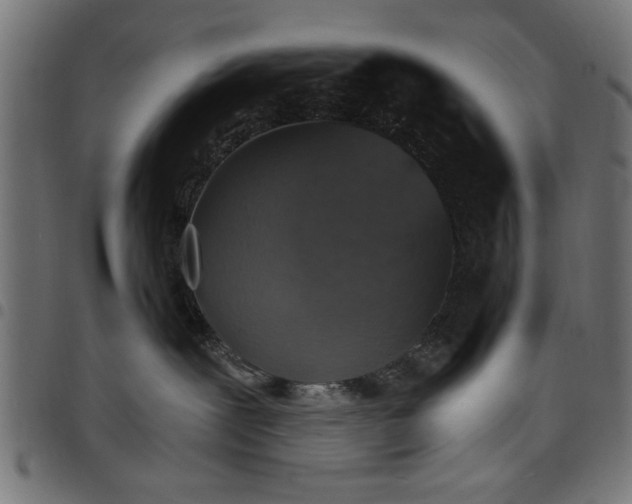 X0000097670239200803281019