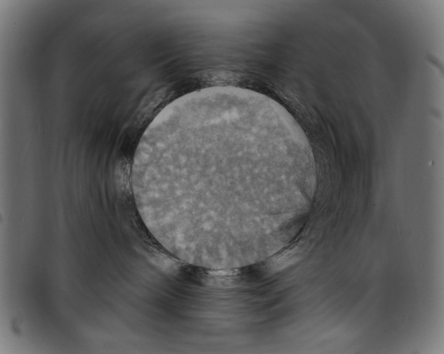 X0000097670240200803281019
