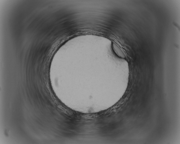 X0000097670241200803281019