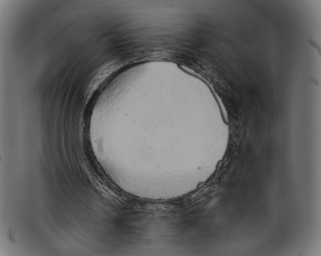 X0000097670242200803281019