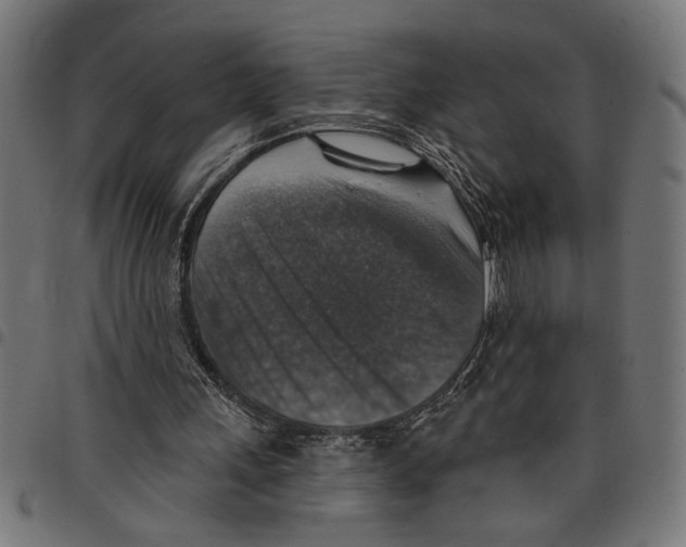 X0000097670243200803281019