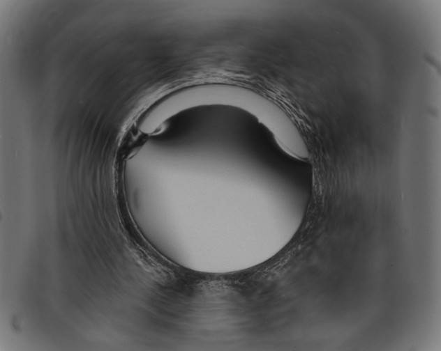 X0000097670244200803281019
