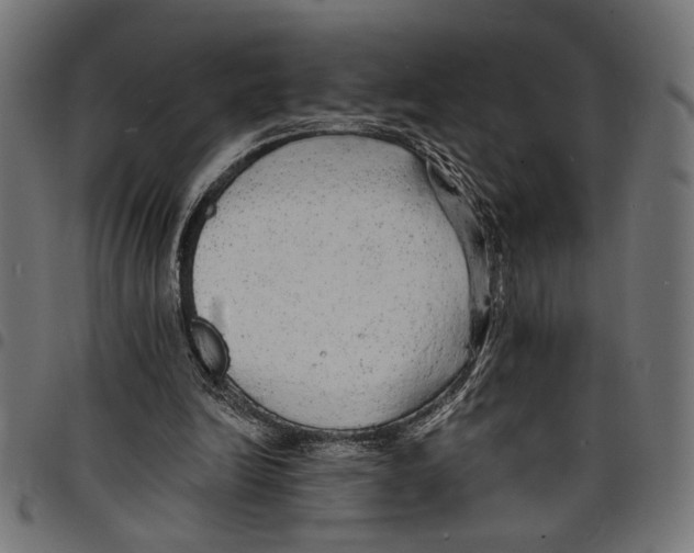 X0000097670246200803281019