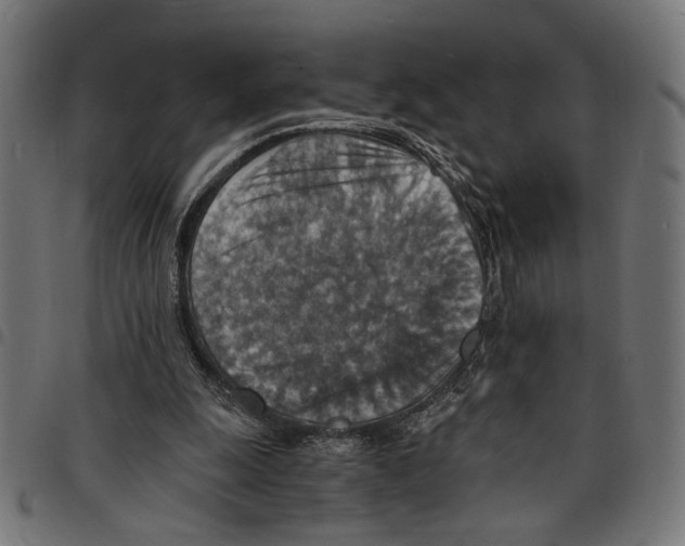 X0000097670247200803281019