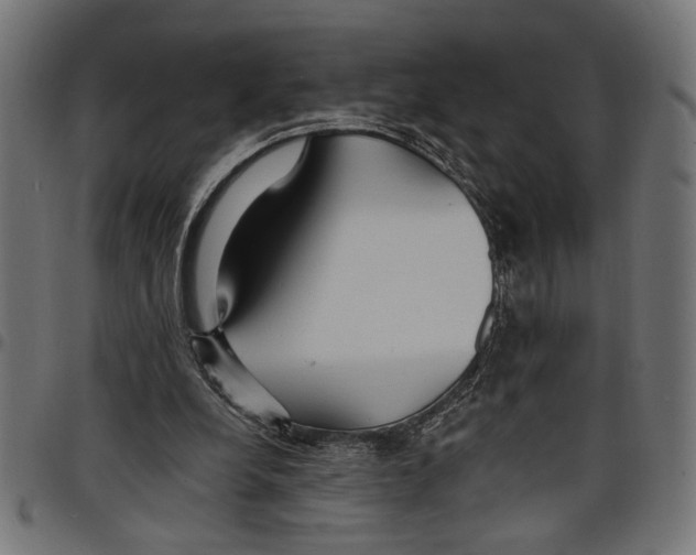 X0000097670248200803281019