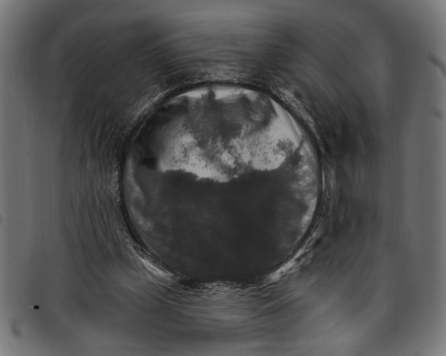 X0000097670249200803281019