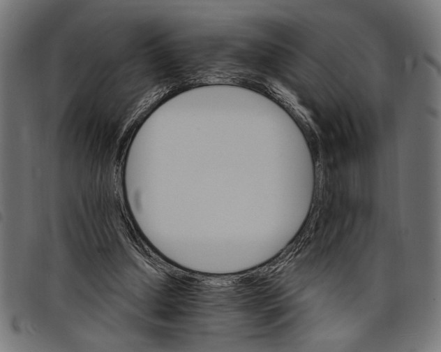 X0000097670250200803281019