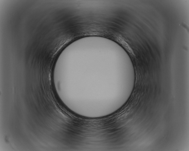 X0000097670251200803281019