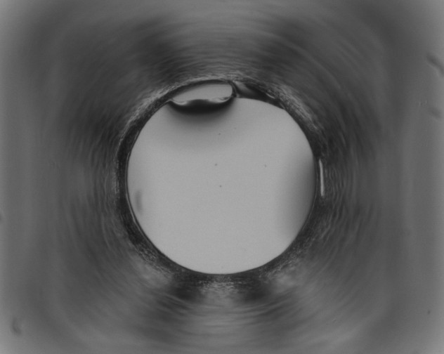 X0000097670252200803281019