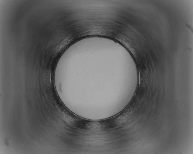 X0000097670253200803281019
