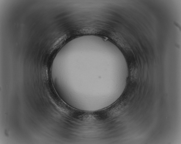 X0000097670254200803281019