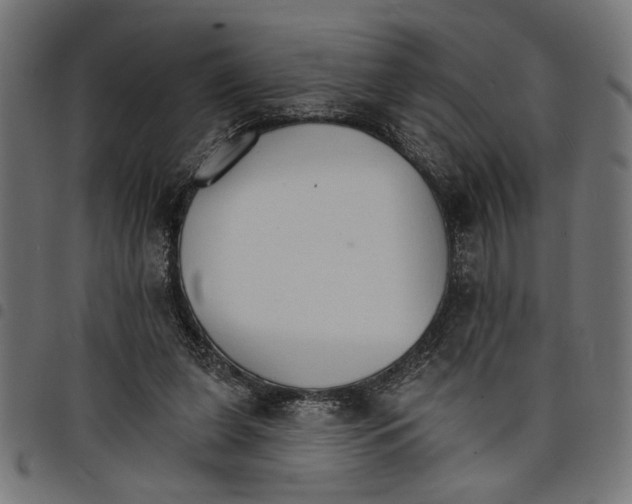 X0000097670255200803281019