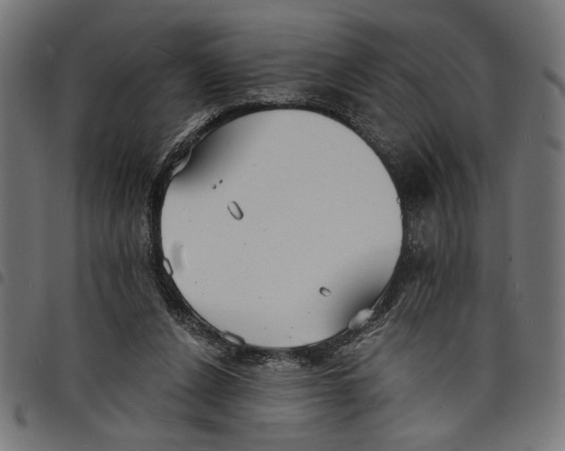 X0000097670256200803281019