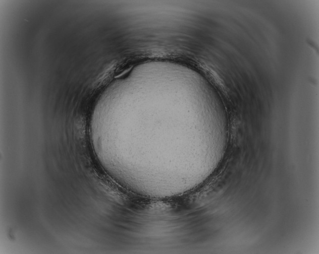 X0000097670257200803281019