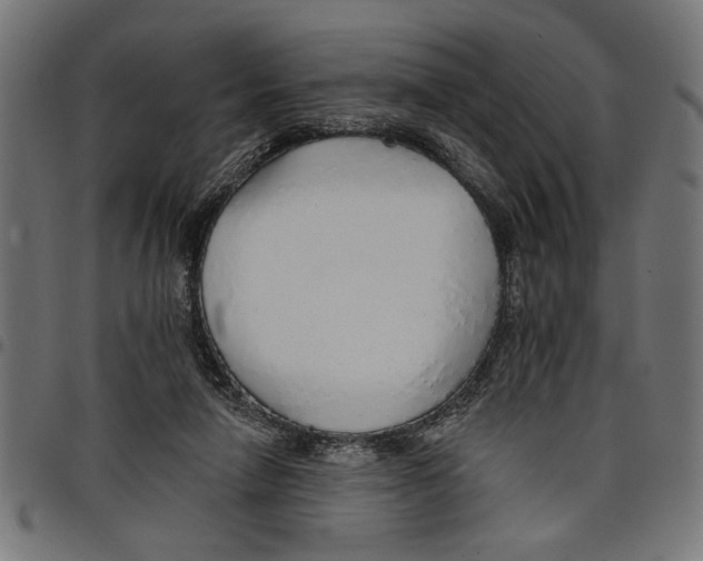 X0000097670258200803281019