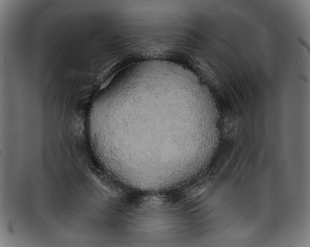 X0000097670259200803281019