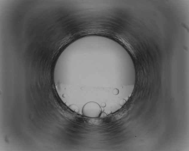 X0000097670261200803281019