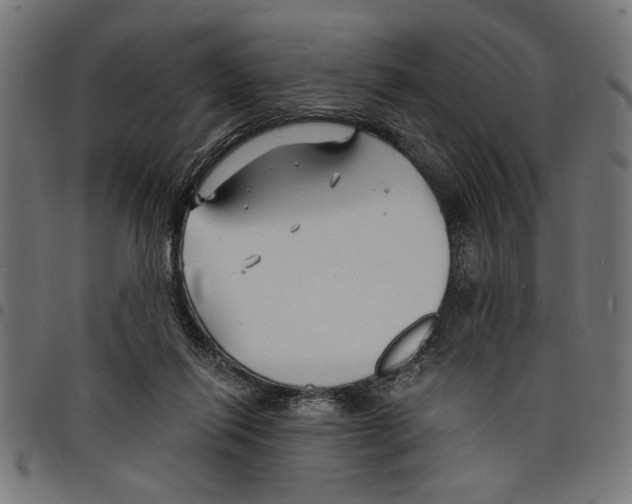 X0000097670262200803281019