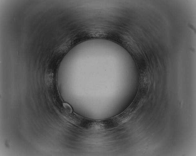 X0000097670263200803281019