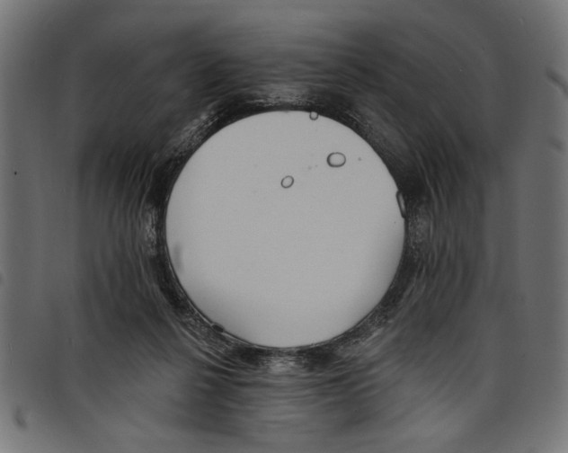 X0000097670264200803281019