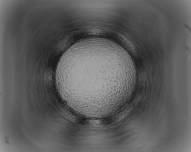 X0000097670265200803281019