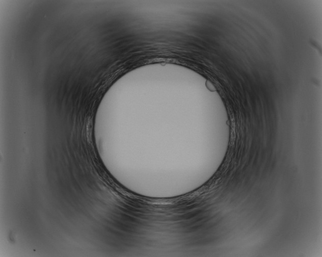 X0000097670266200803281019