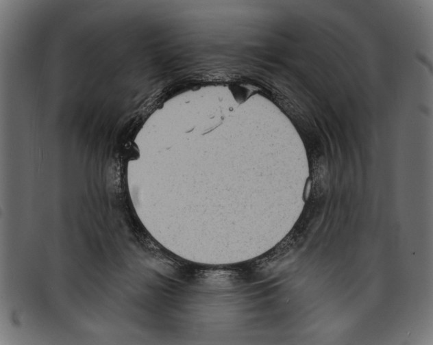X0000097670268200803281019